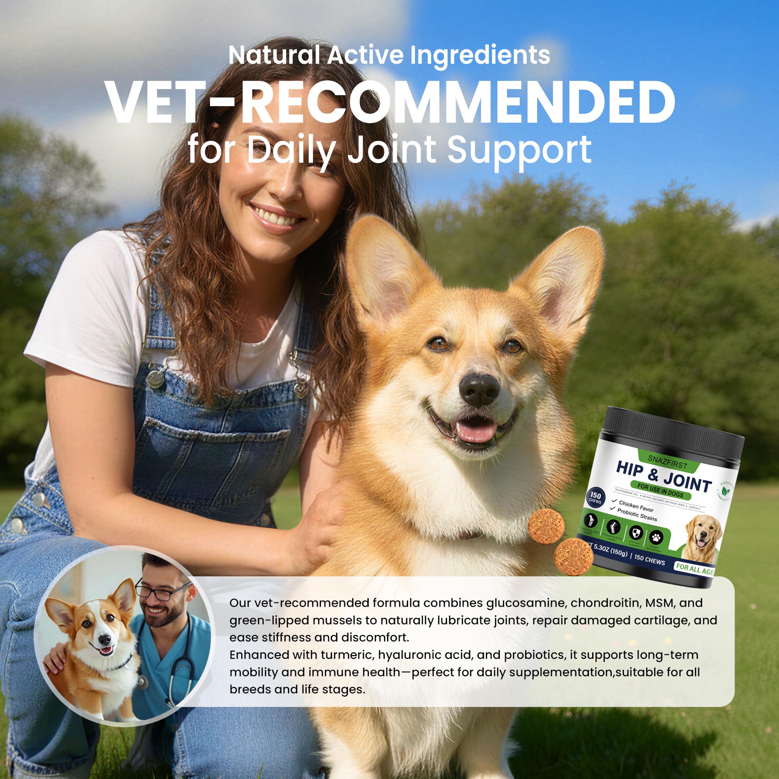 SnazFirst chien en promenade heureux grâce au soutien articulaire