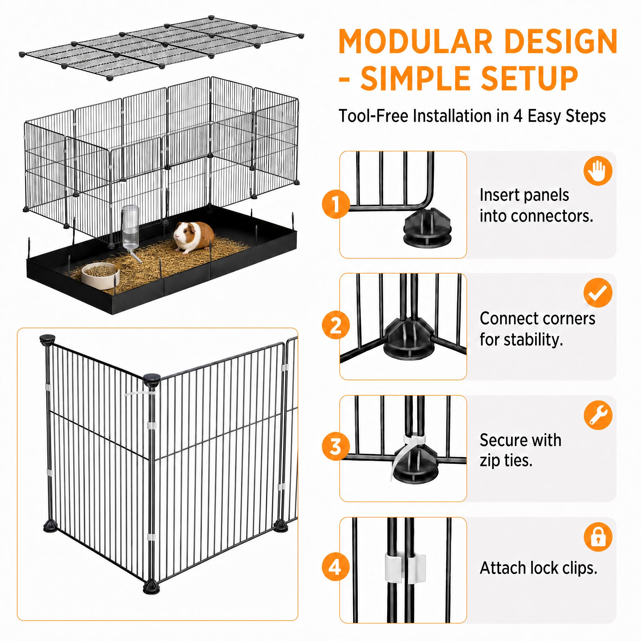 SNAAT comparaison d'échelle montre dimensions adaptées à cochons d'Inde