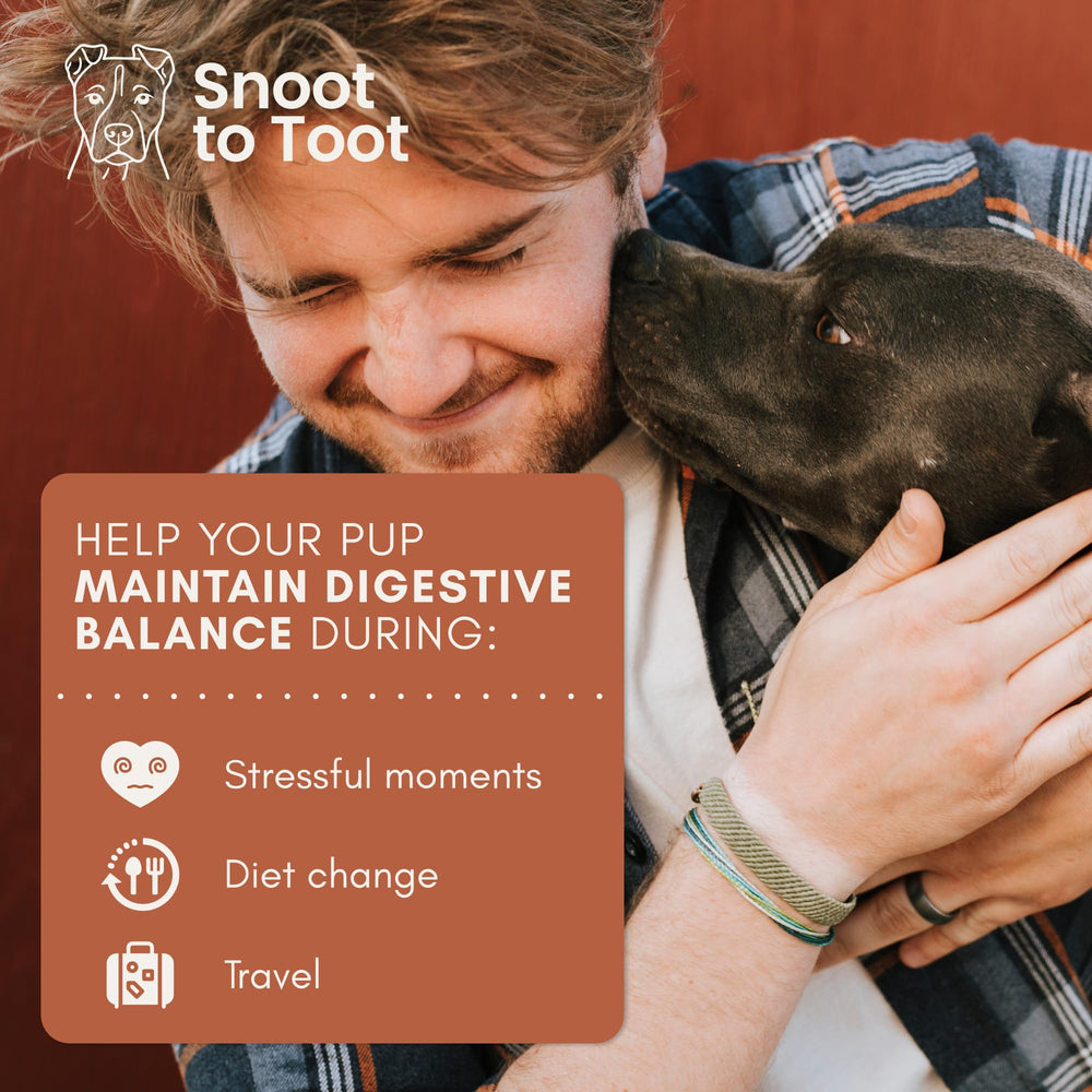 Snoot to Toot chew gros plan texture moelleuse offrant appétence durable