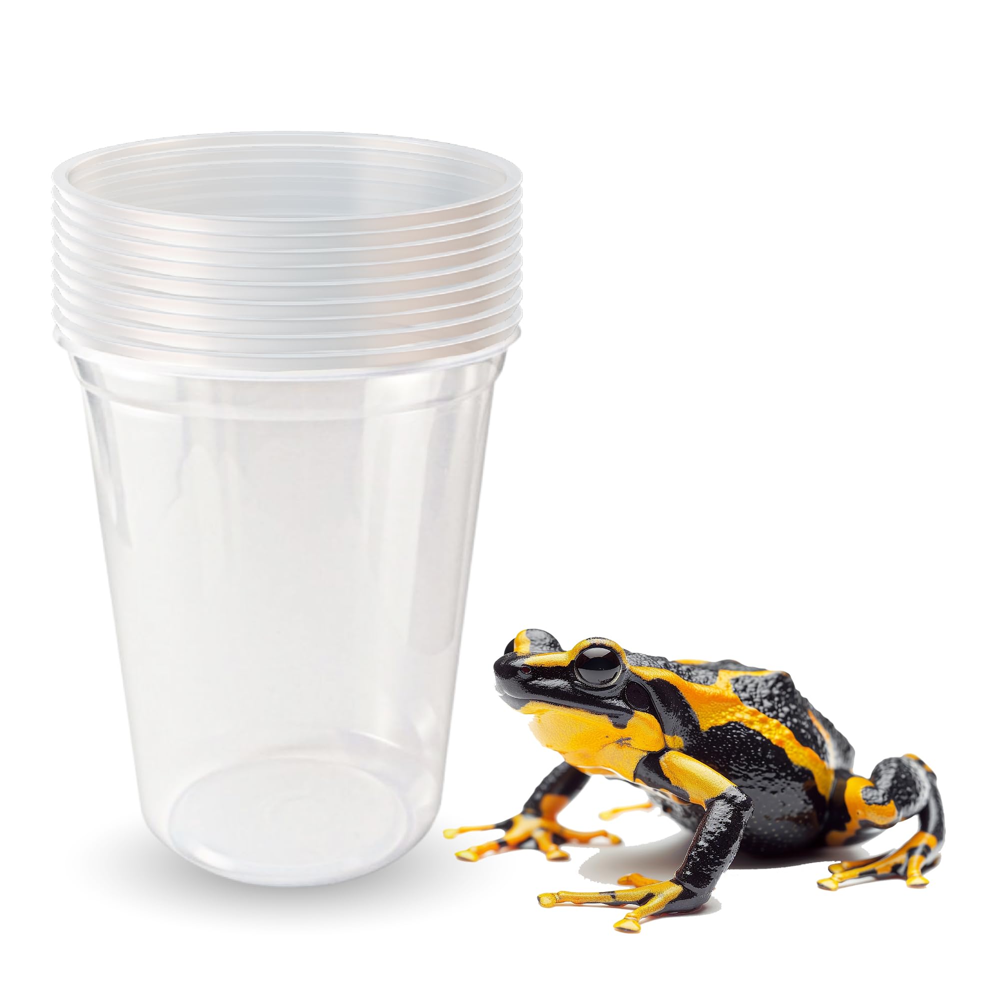 Snout and Shell gobelets en situation de laboratoire pour usage éducatif