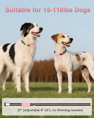 Snsng collier sur chien en extérieur démontrant rappel fiable à distance
