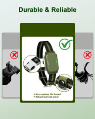Snsng collier porté par chien en extérieur pour rappels à longue distance