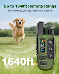 Snsng détail des pointes de contact interchangeables pour confort selon pelage