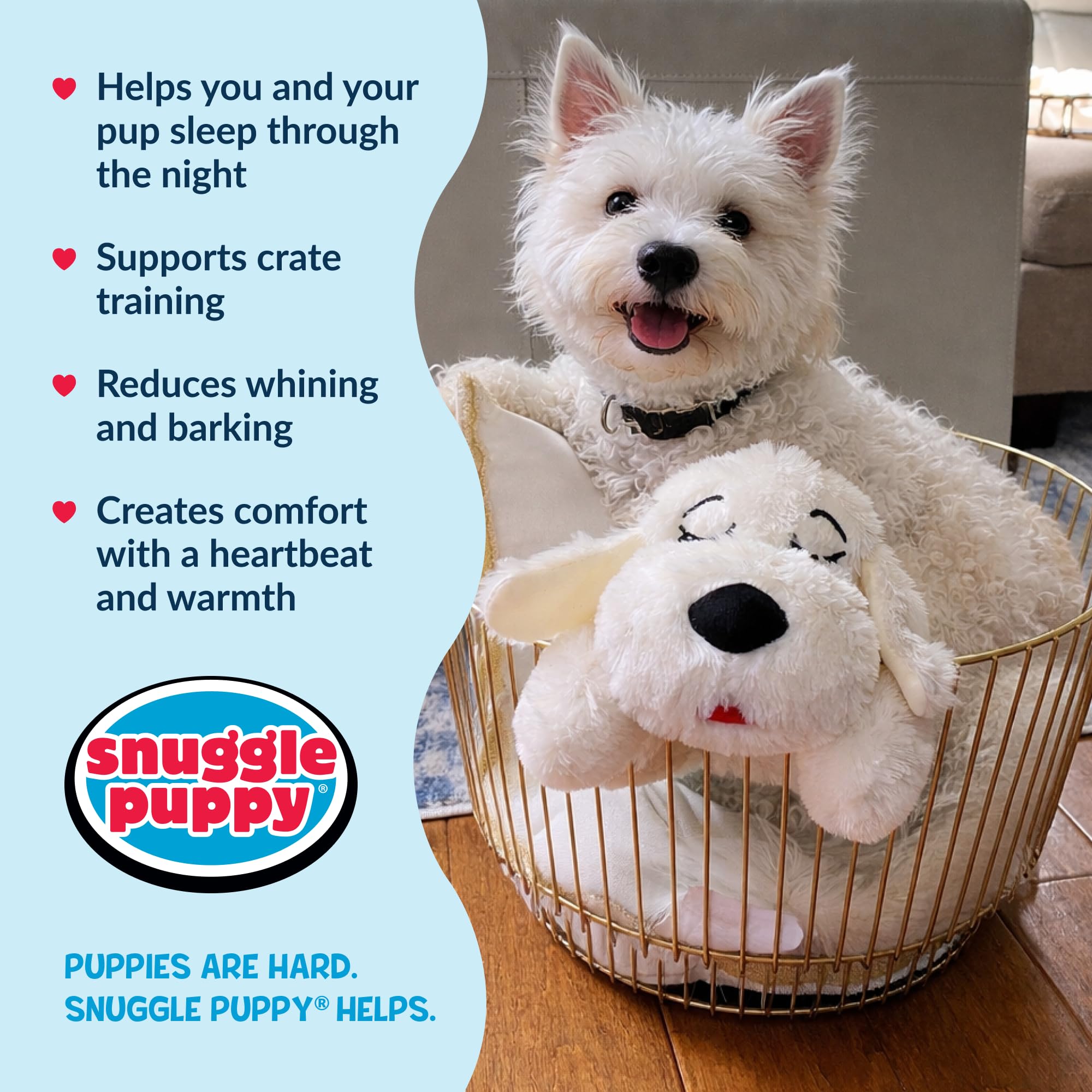Snuggle Puppie comparaison taille avec chiot, idéal pour petites races