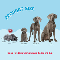 Snuggle Puppie cœur SmartBeat montrant le battement réconfortant