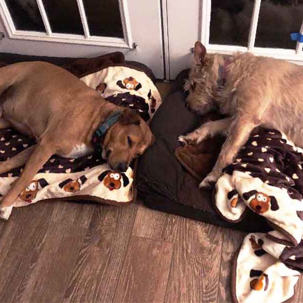 Snuggle Puppy gros plan texture polaire chaleur et douceur