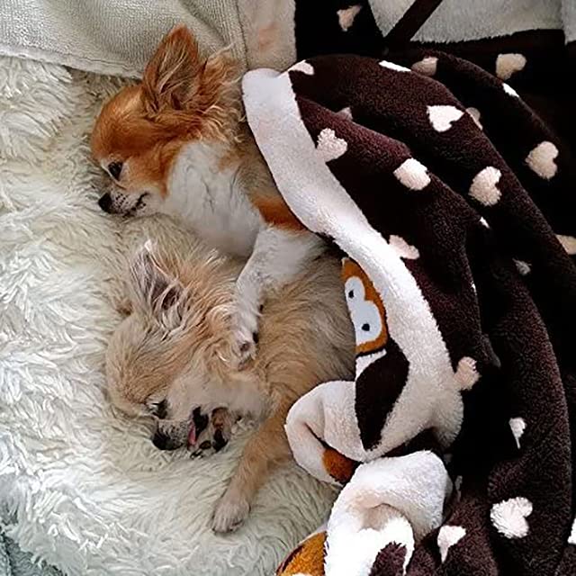 Snuggle Puppy couverture dans une caisse apaise et sécurise le chiot