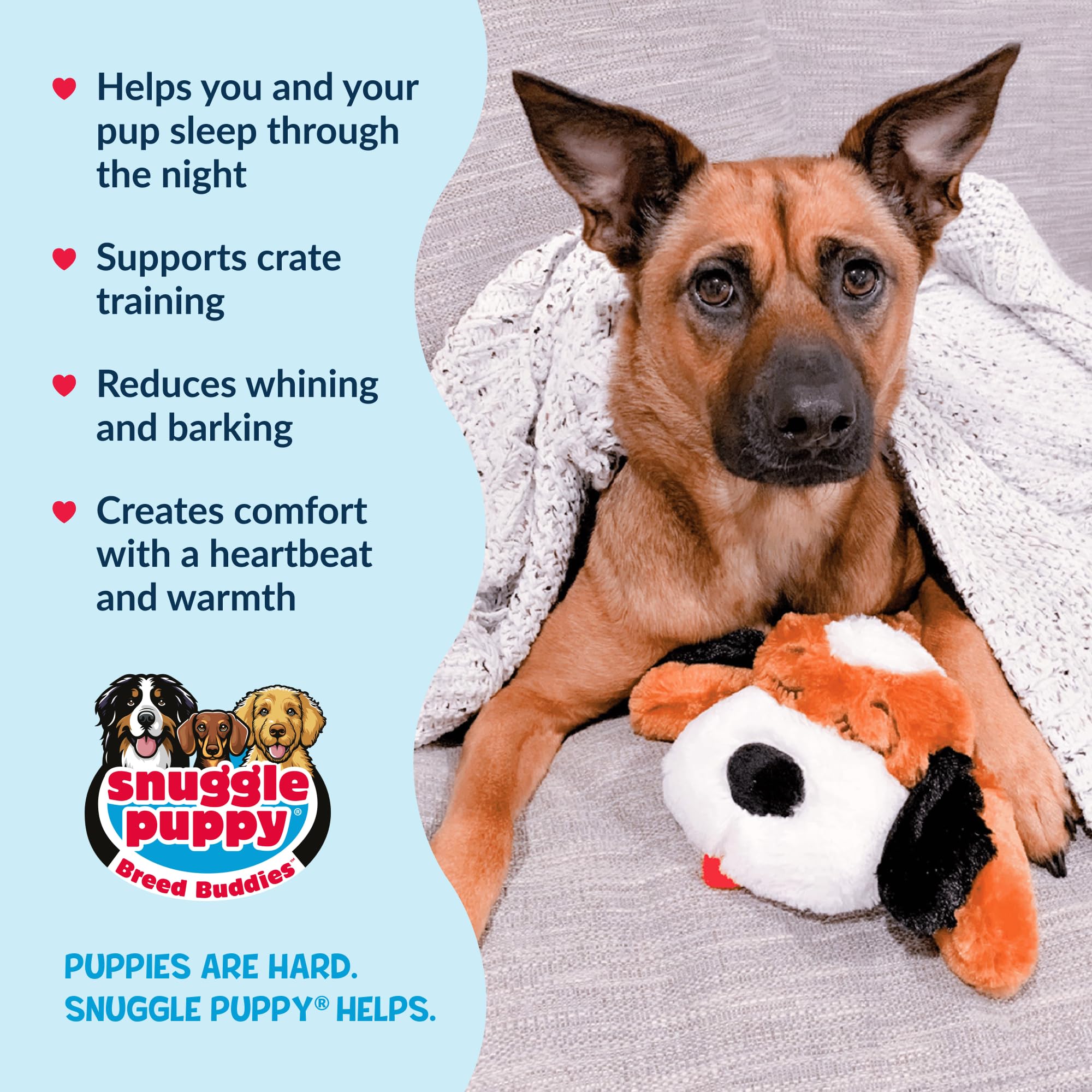 Gros plan sur la fourrure Snuggle Puppie mettant en valeur douceur et câlin