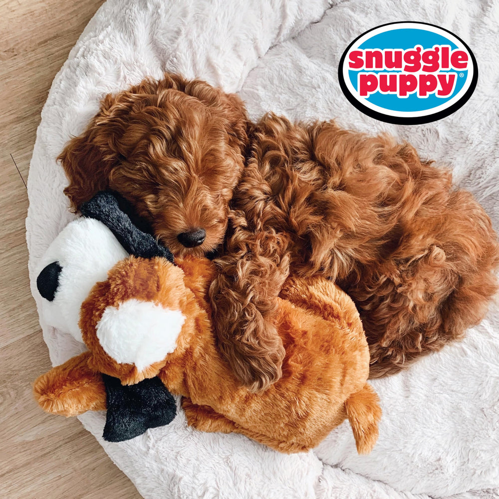 Snuggle Puppy détail de l'étiquette montrant les instructions et ingrédients naturels