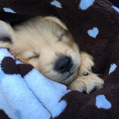 Snuggle Puppy gros plan du tissu polaire révélant douceur et chaleur retenue