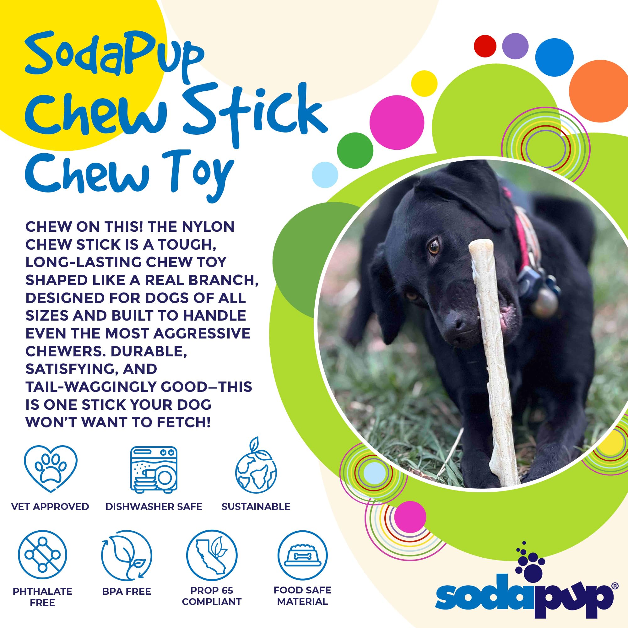 SodaPup chien mâchant le bâton pour stimulation et détente