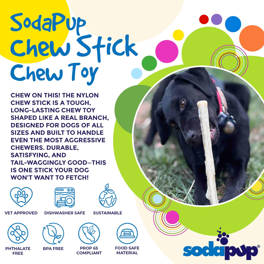 SodaPup chien mâchant le bâton pour stimulation et détente