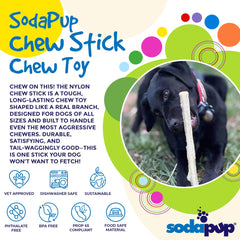 SodaPup chien mâchant le bâton pour stimulation et détente