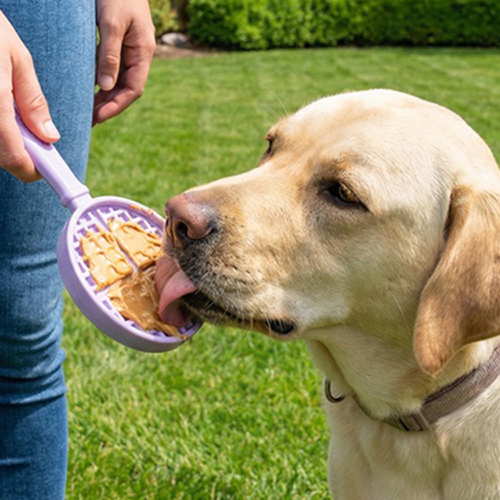 SodaPup gros plan sur la texture du Lick Stick pour un léchage prolongé apaisant
