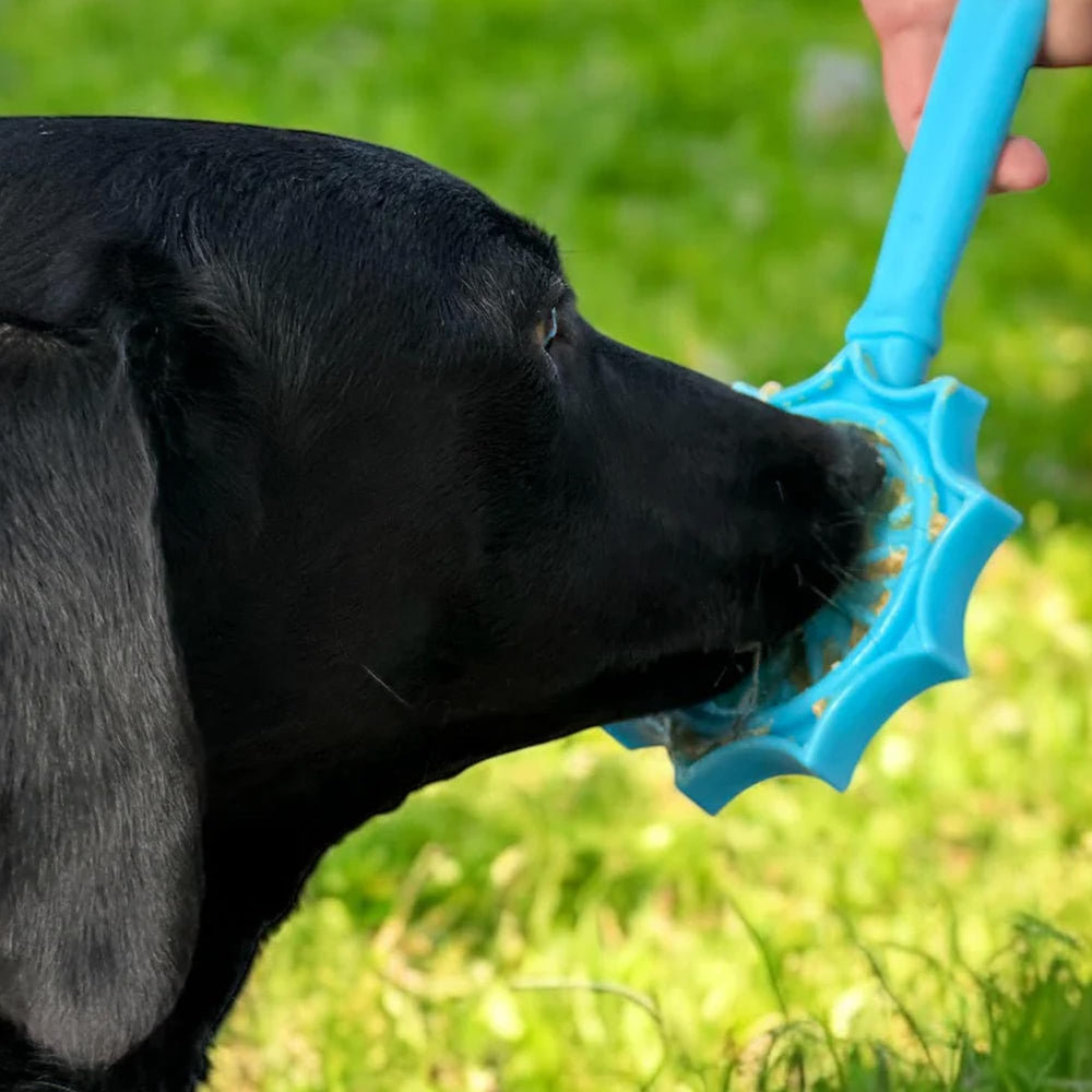 SodaPup gros plan sur la texture offrant léchage prolongé
