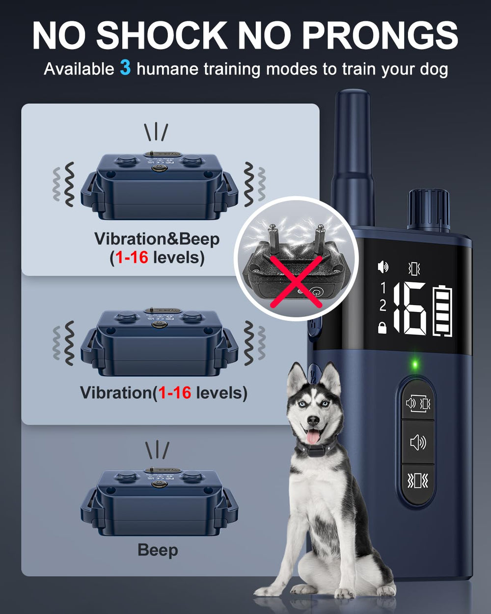 SODOG collier porté par chien en extérieur pour entraînement sûr