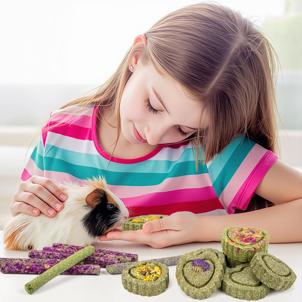 Sofier friandise en cage pendant que le rongeur mâche, favorise l'activité