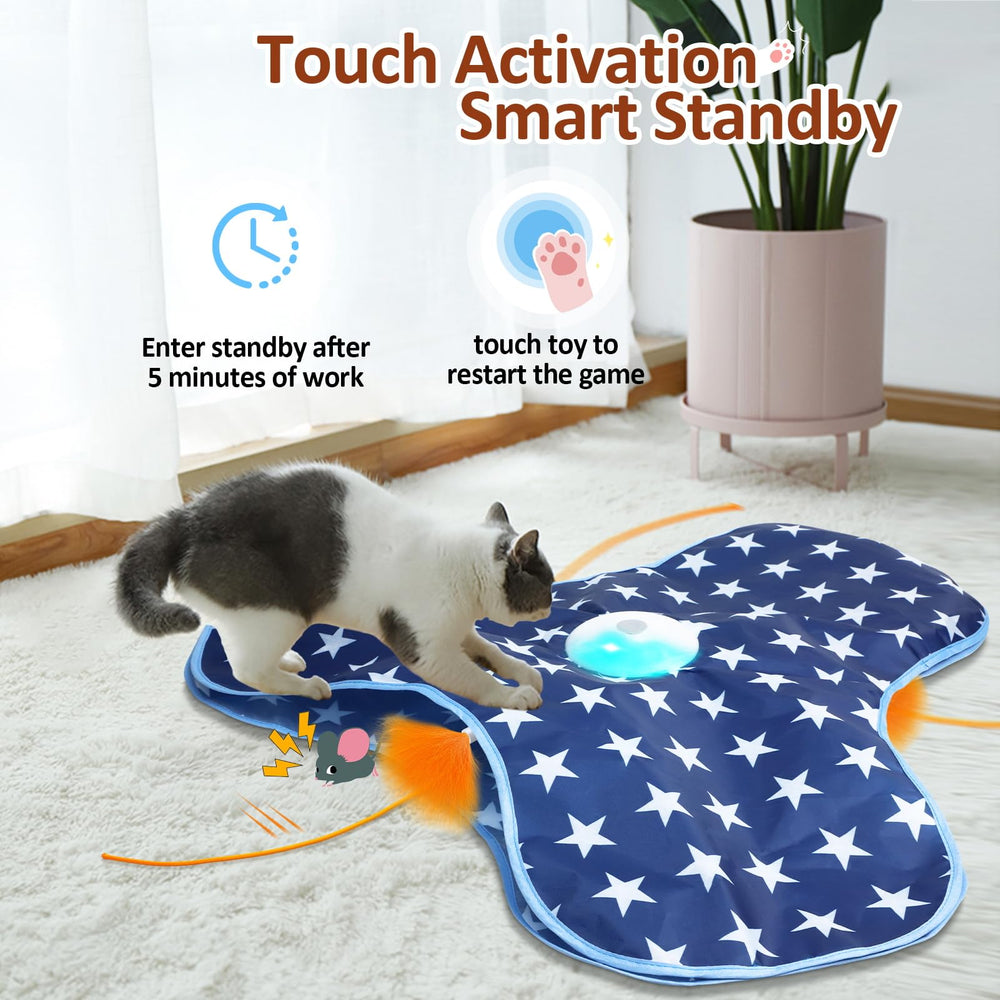 Sofolor jouet en action avec chat en train de chasser, encourage l'exercice