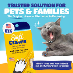 Soft Claws gros plan cap transparent illustrant tenue discrète