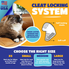 Chat portant Soft Claws sur patte avant démontrant protection efficace