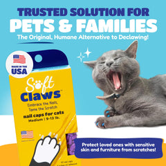 Soft Claws gros plan vinyle souple illustrant durabilité et confort