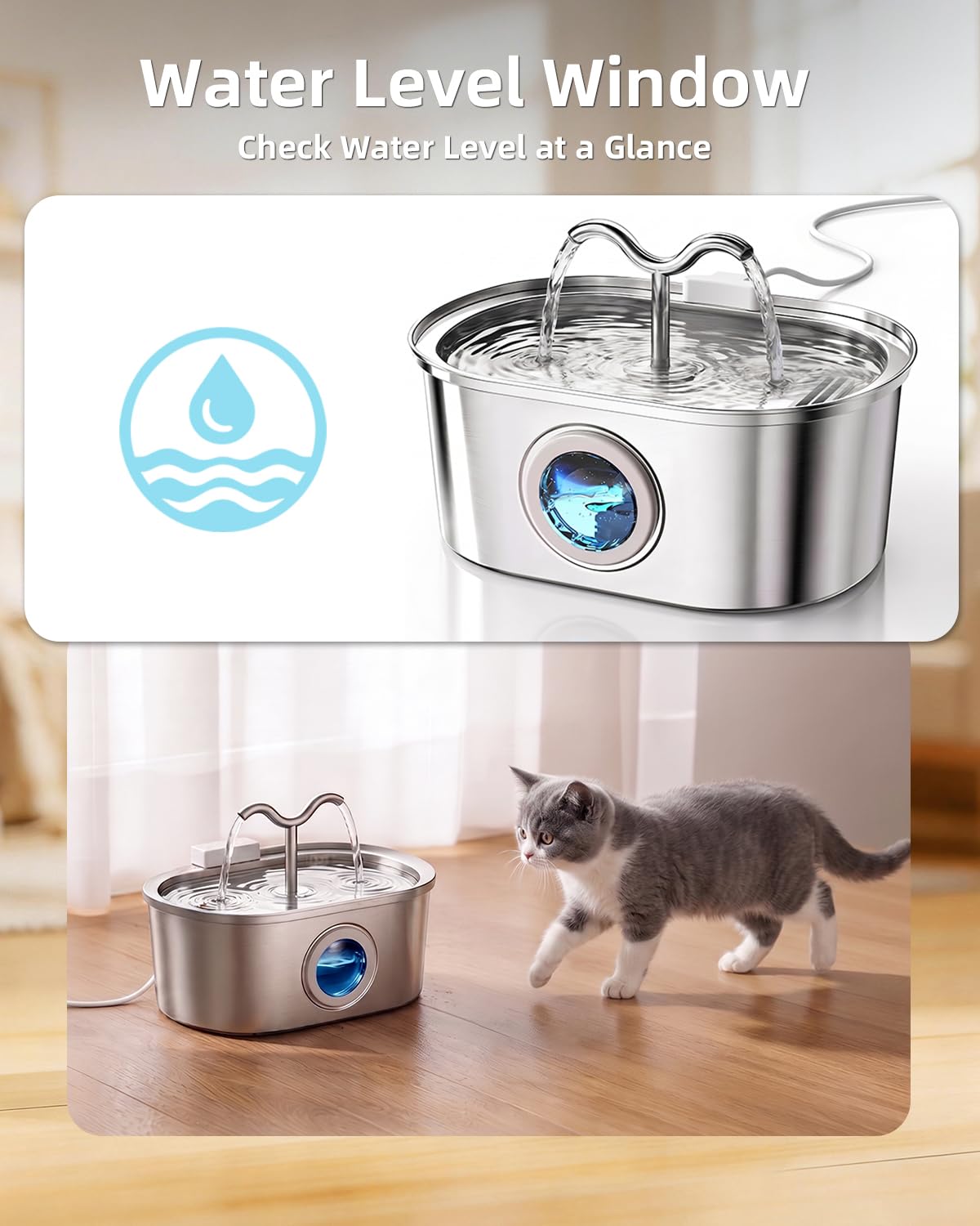 SohoTeco chats boivent ensemble, double flux pour moins de compétition
