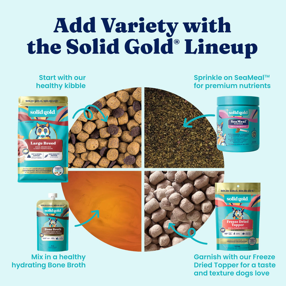 Solid Gold illustration de probiotiques en poudre pour soutien intestinal