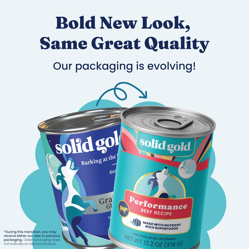 Solid Gold bol servi avec croquettes montre l'utilisation comme topping savoureux