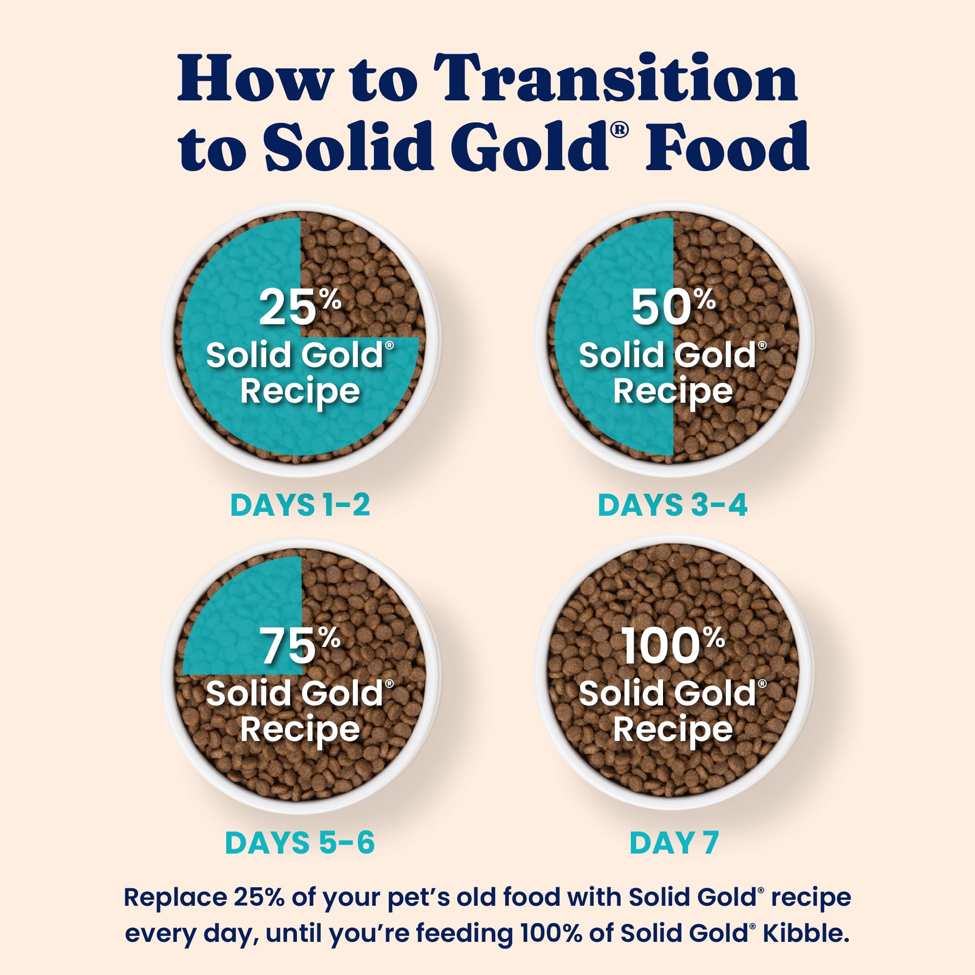 Solid Gold chat mange et semble apprécier, appétence et tolérance améliorées