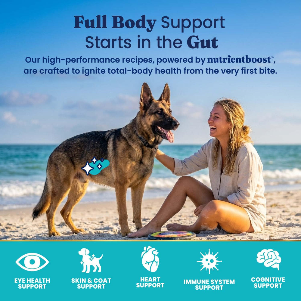 Solid Gold chien adulte mangeant des croquettes pour soutien musculaire