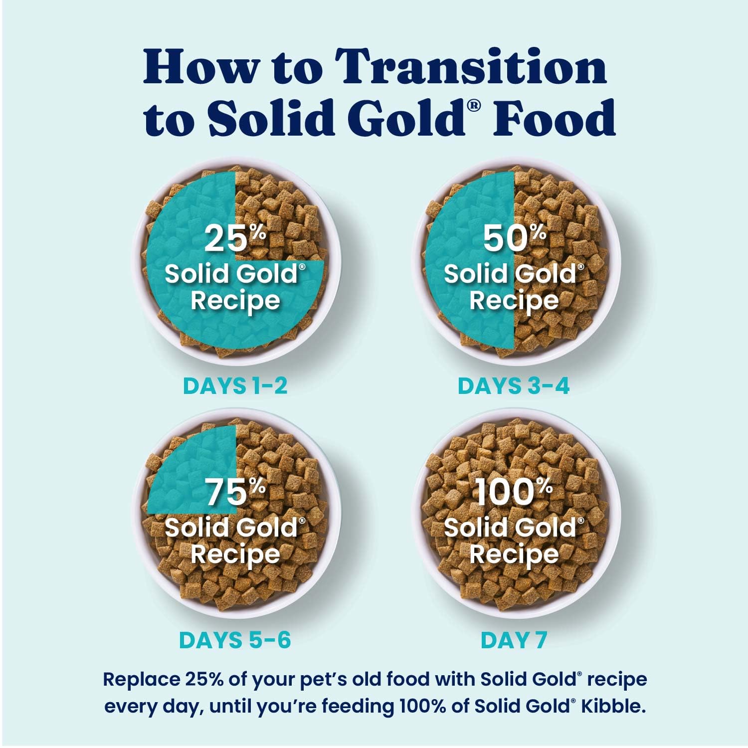 Solid Gold chien mange dans la cuisine montrant appétence et alimentation équilibrée