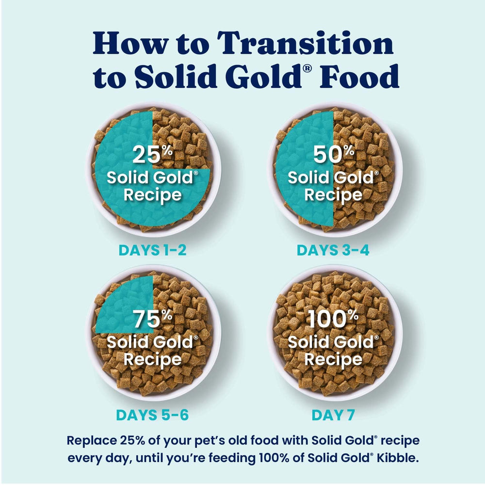 Solid Gold chien mange dans la cuisine montrant appétence et alimentation équilibrée