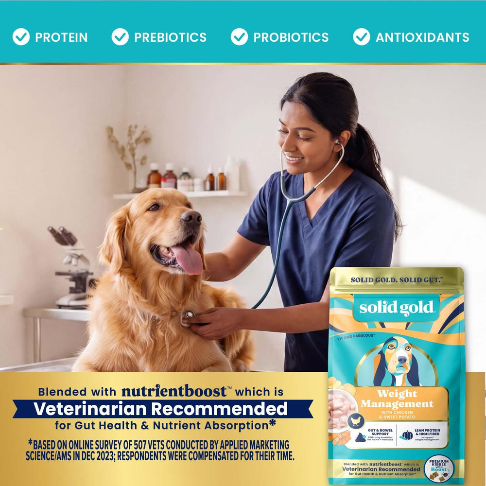 Solid Gold chien mange la recette pour gestion du poids et santé