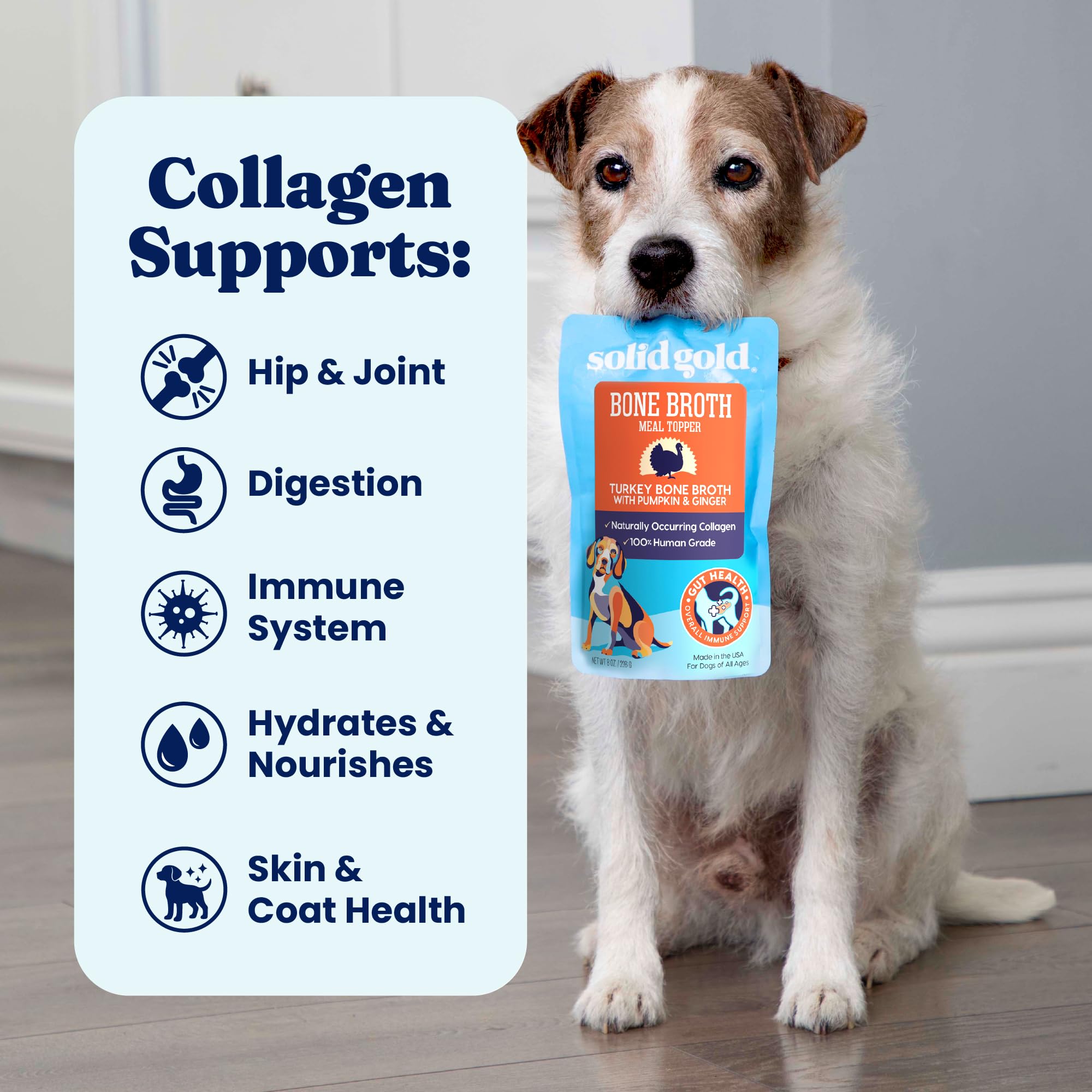 solid gold congelation en glaçons offrant des friandises hydratantes pratiques