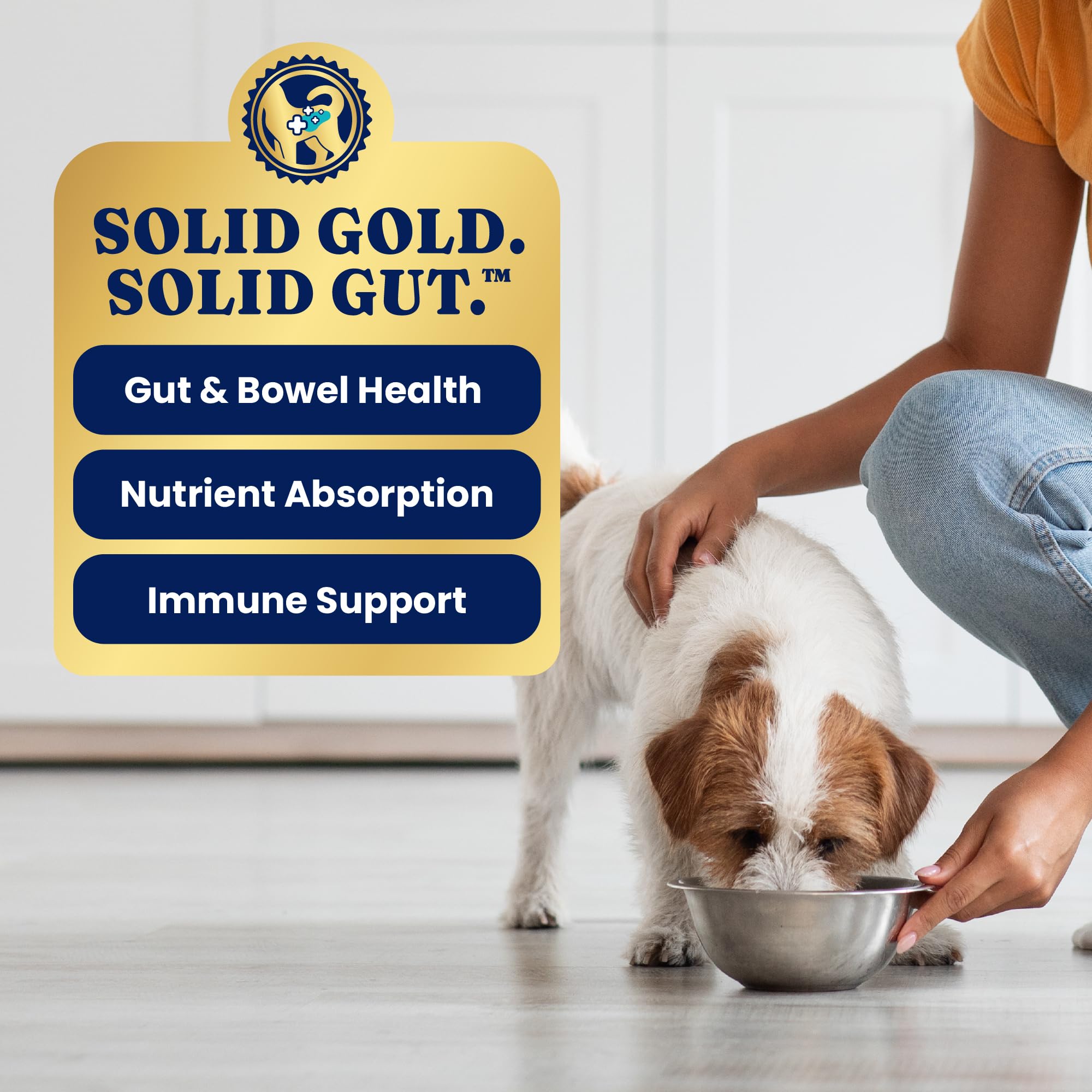 Solid Gold comparaison taille avec main illustre portion pour petite race