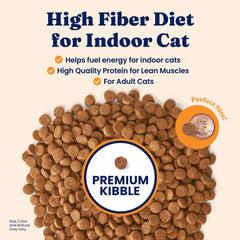 Solid Gold gros plan kibble montrant texture croquante pour meilleure mastication
