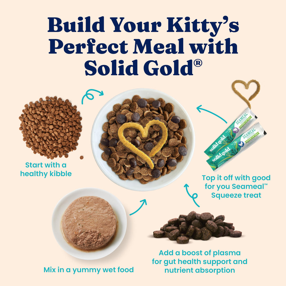 Solid Gold gros plan superfoods ajoutés pour nutriments et digestibilité