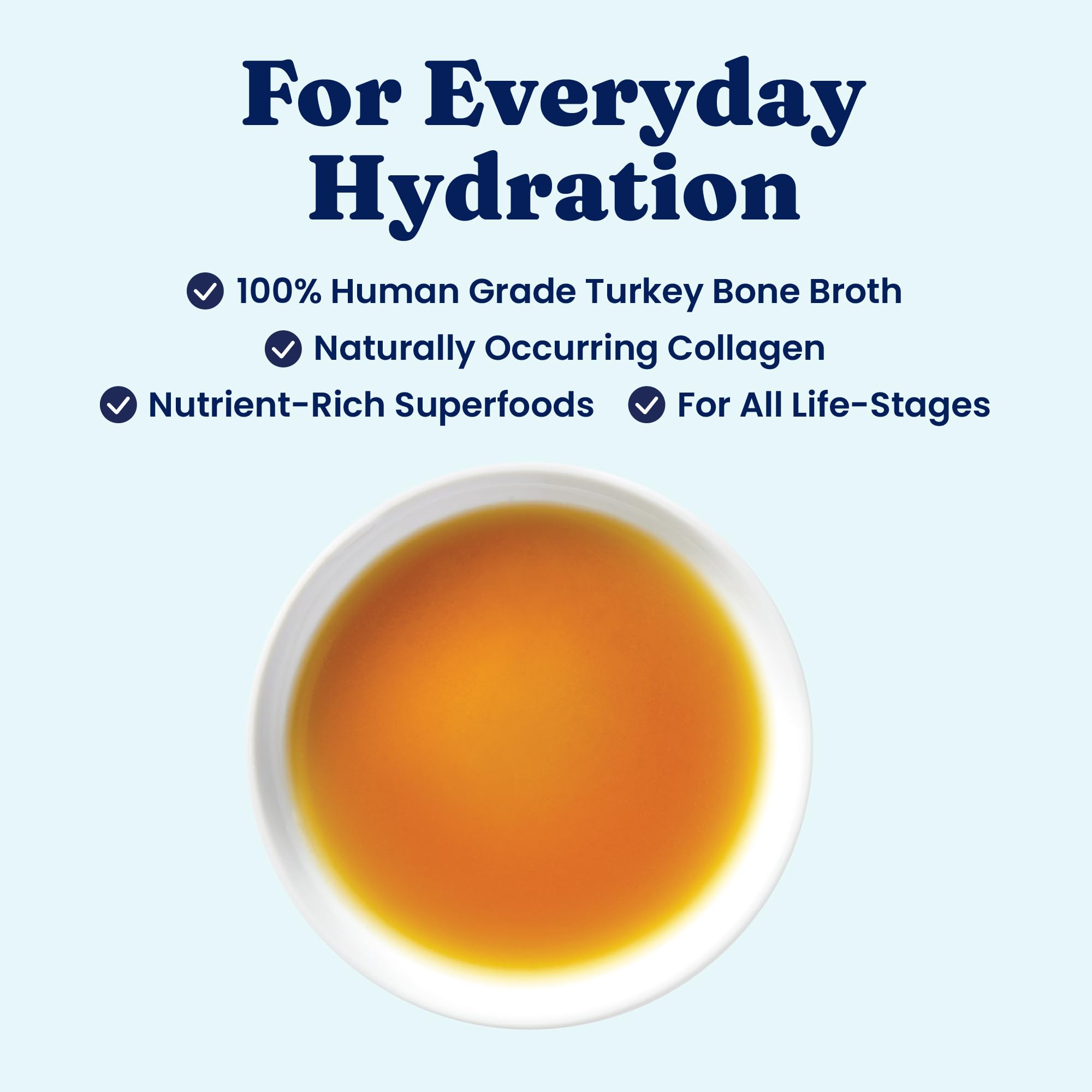 solid gold hydratation chiot en utilisation encourageant la consommation d'eau