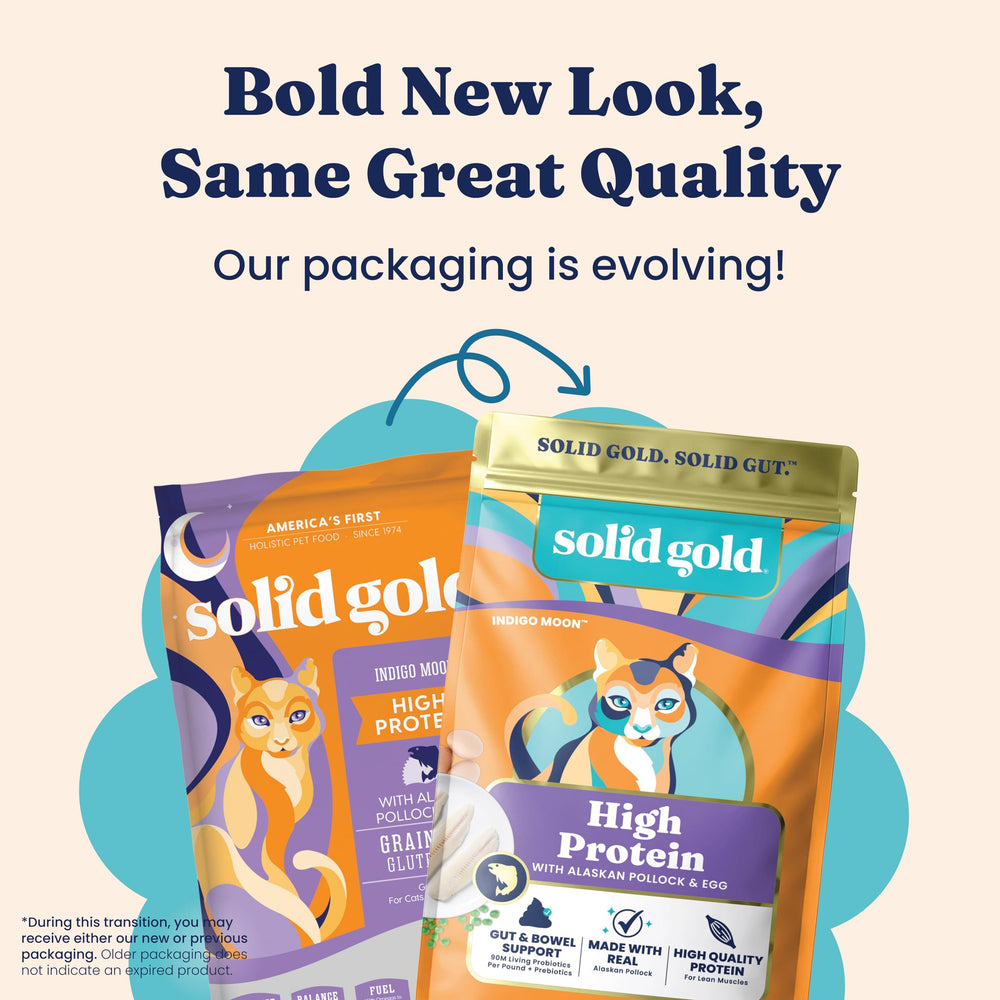 Solid Gold œuf entier en gros plan illustrant protéine complète et aminoacides