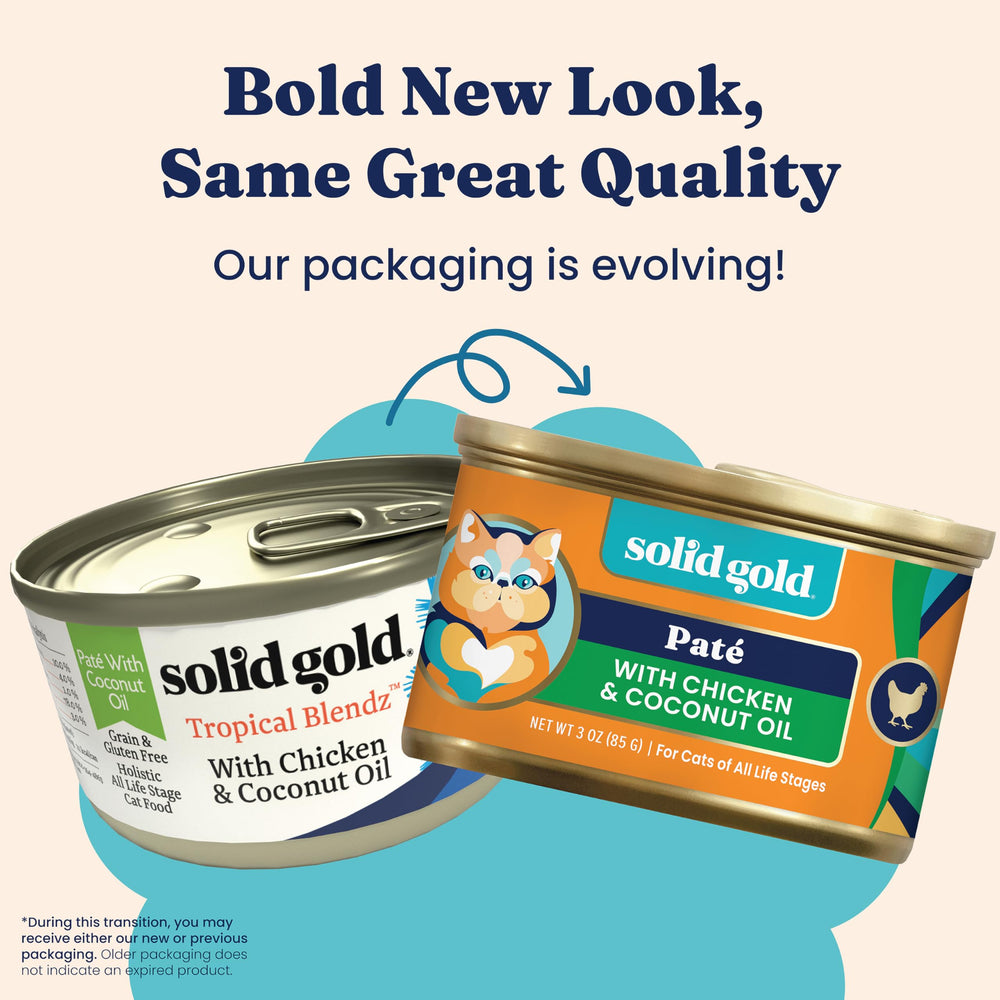 Solid Gold chat mange la pâtée, favorise appétit et hydratation