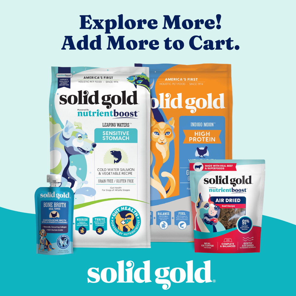 Solid Gold préparation en pâte avec eau facilitant administration pour chat