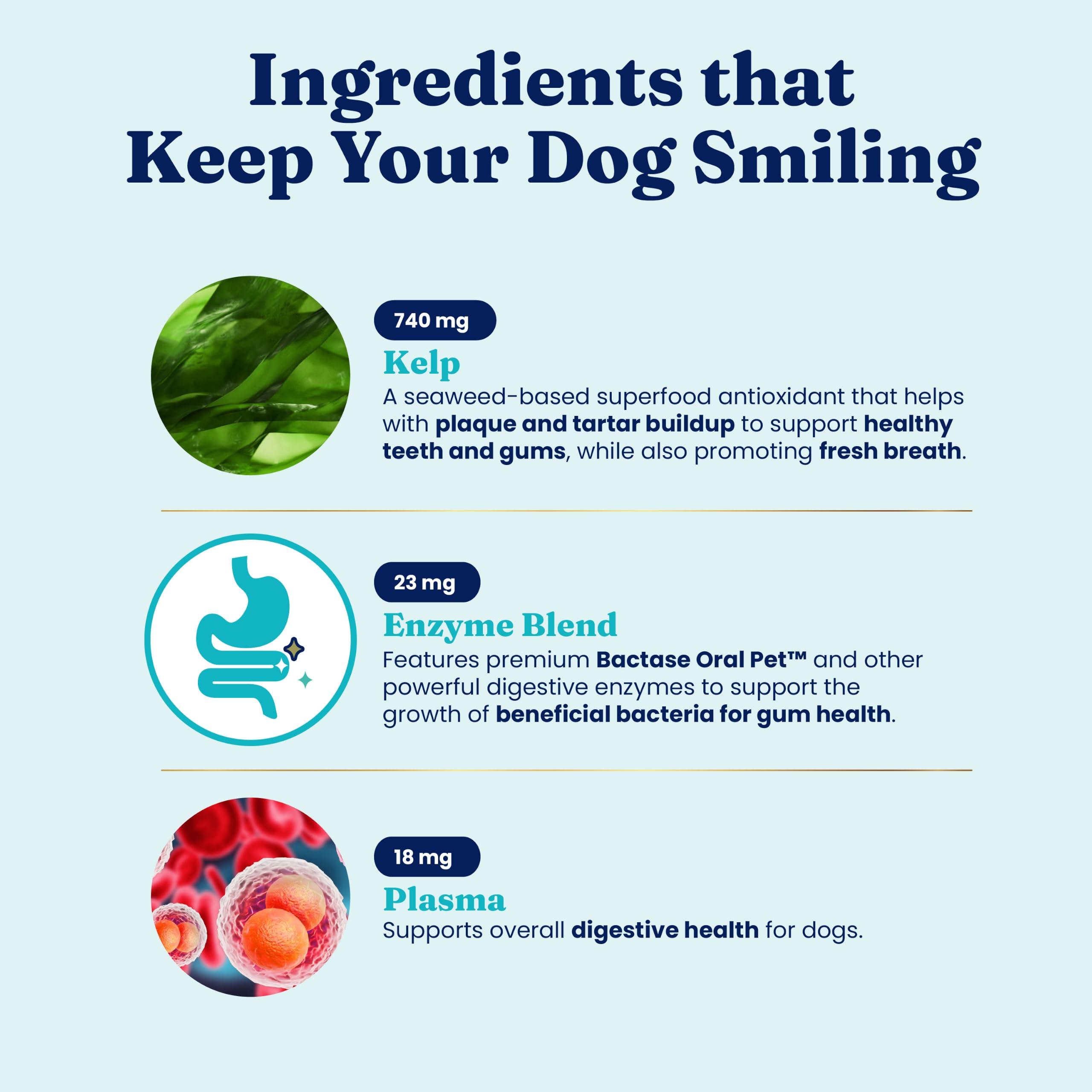 Solid Gold SeaMeal portion pour petit chien dosage adapté