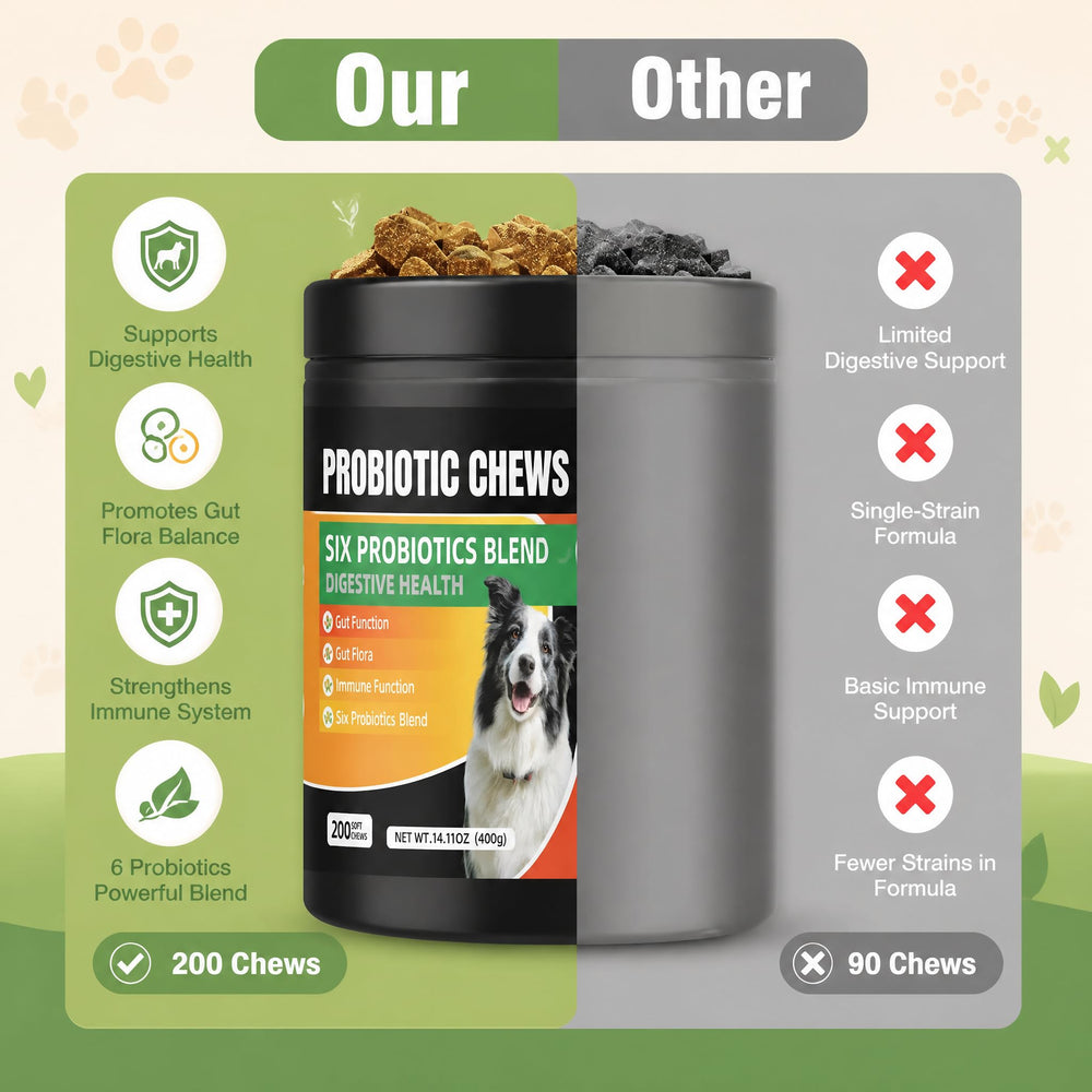 SolPetti friandise en main illustrant la taille adaptée pour chiens