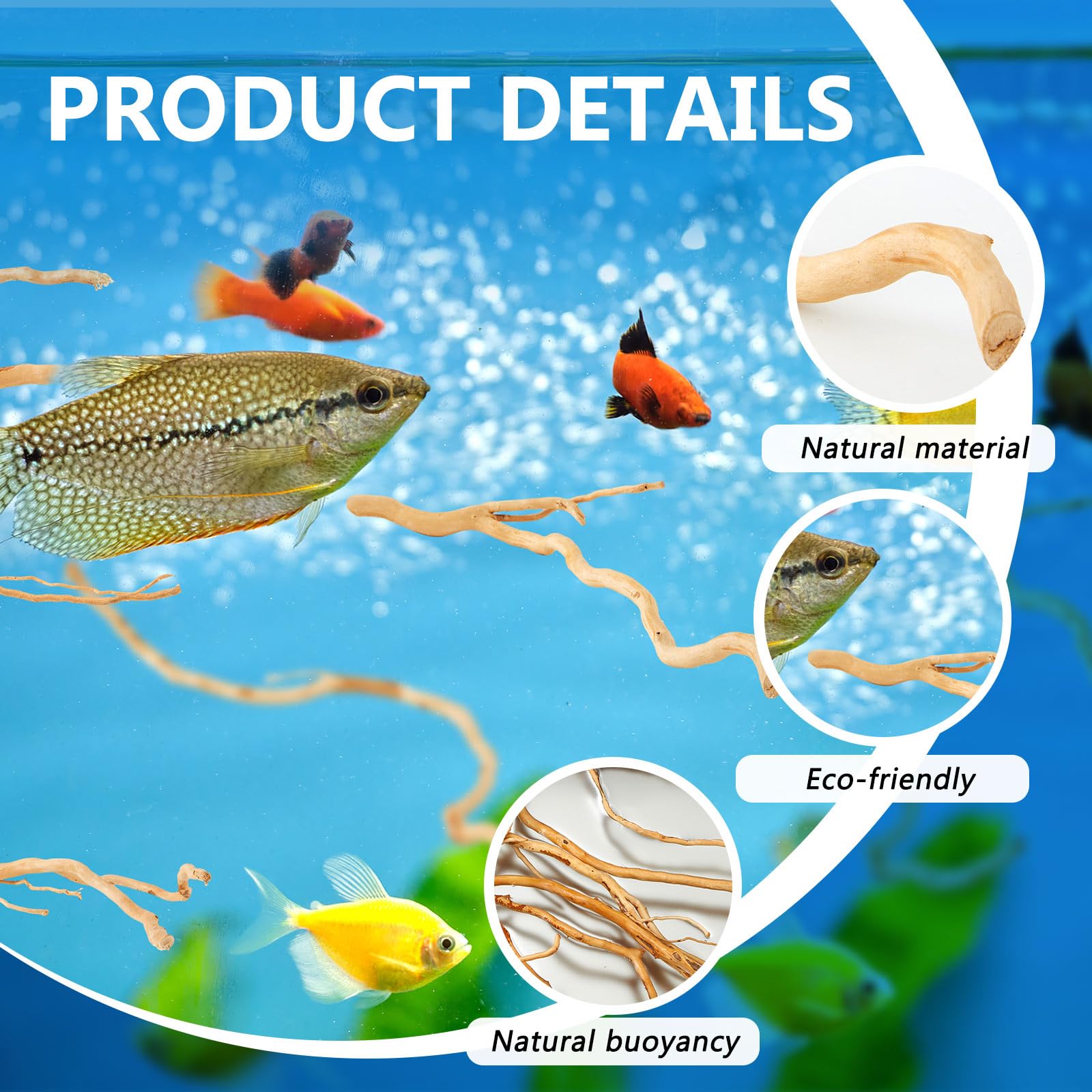 Solsew bois flotté installé en aquarium apportant abri aux poissons