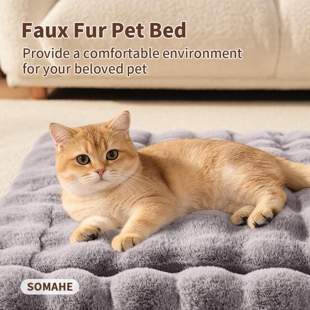 SOMAHE chat allongé sur le tapis démontrant confort et relaxation