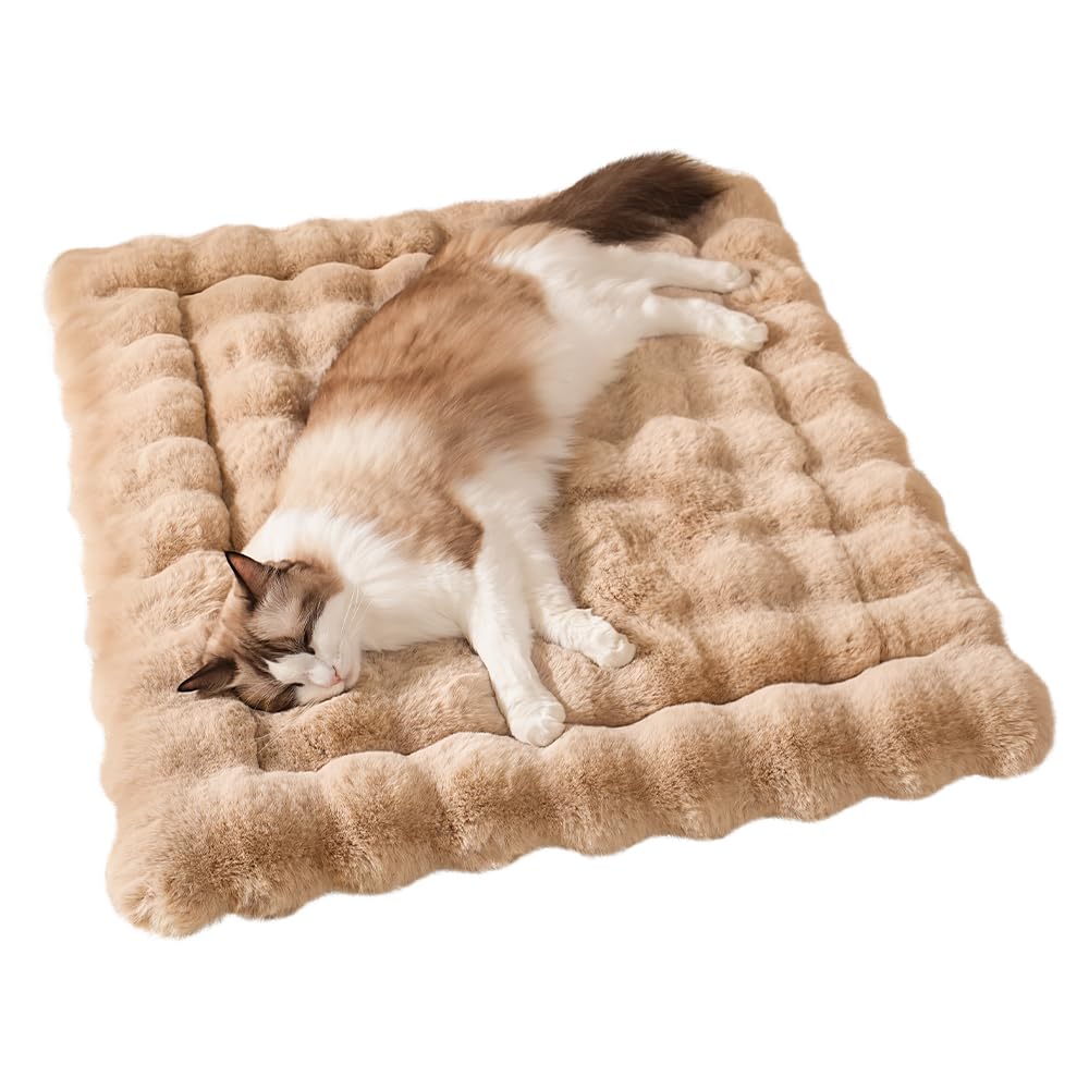 SOMAHE tapis chat vue face montrant confort et finition