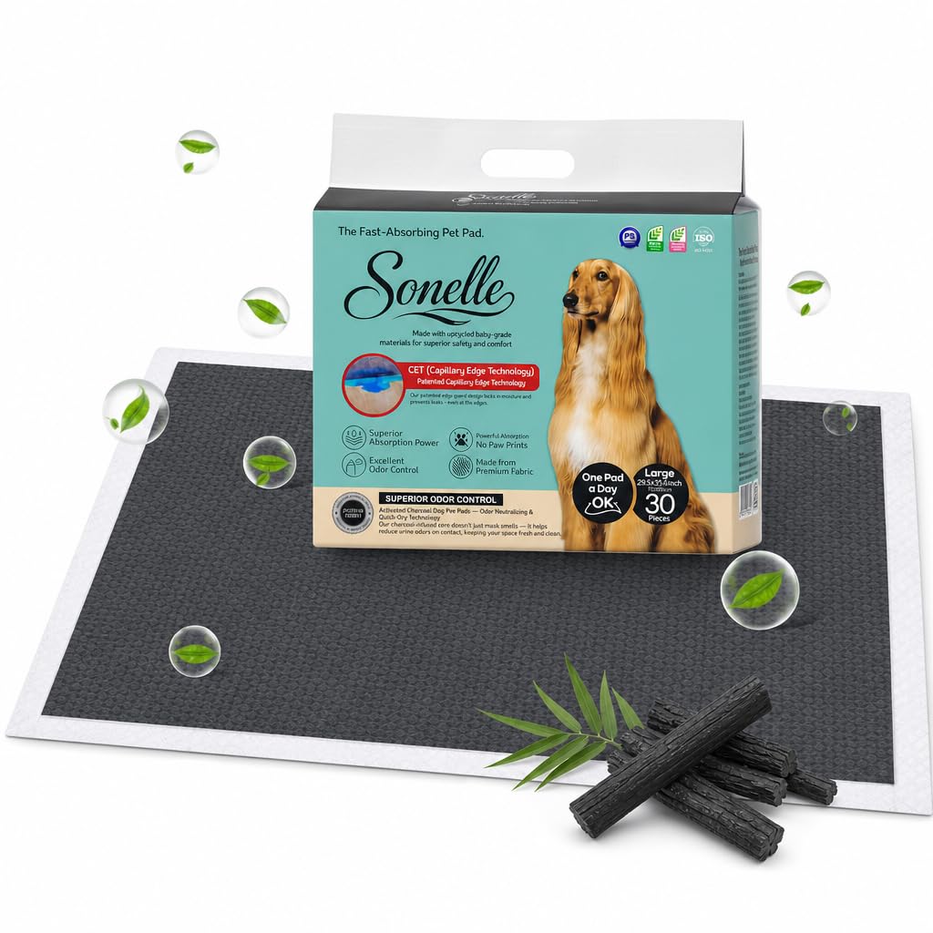 Sonelle packaging avant XL montrant lot de 30 unités et dimensions, facile à stocker