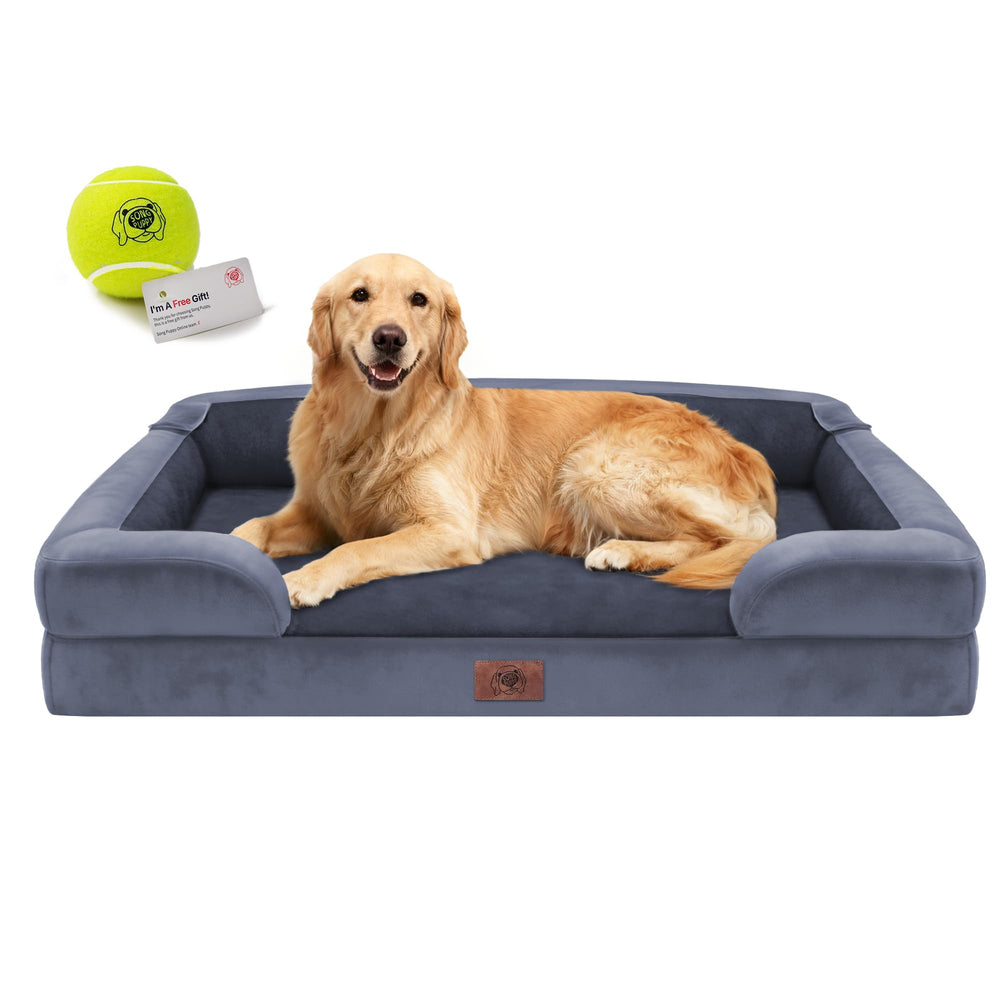 Song Puppy lit orthopédique vu de face montrant soutien et confort