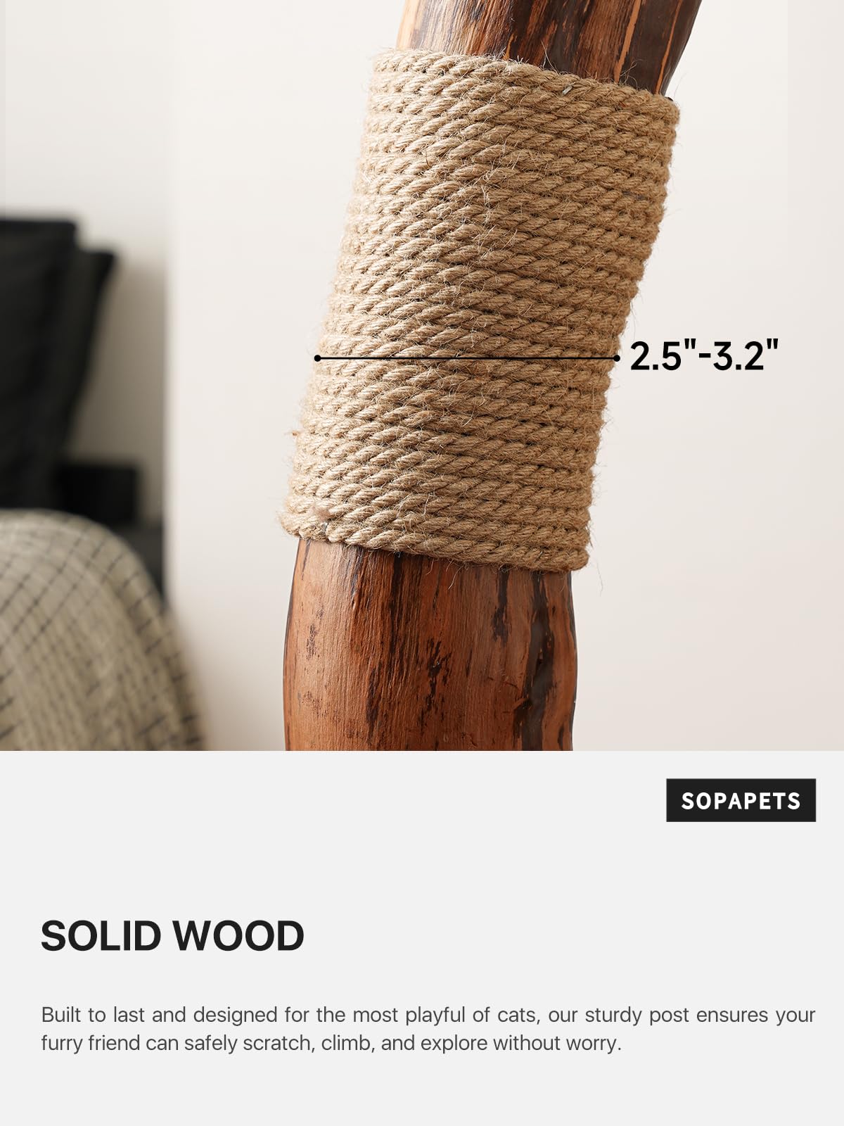 Sopapets branche en bois massif offrant stabilité et style naturel