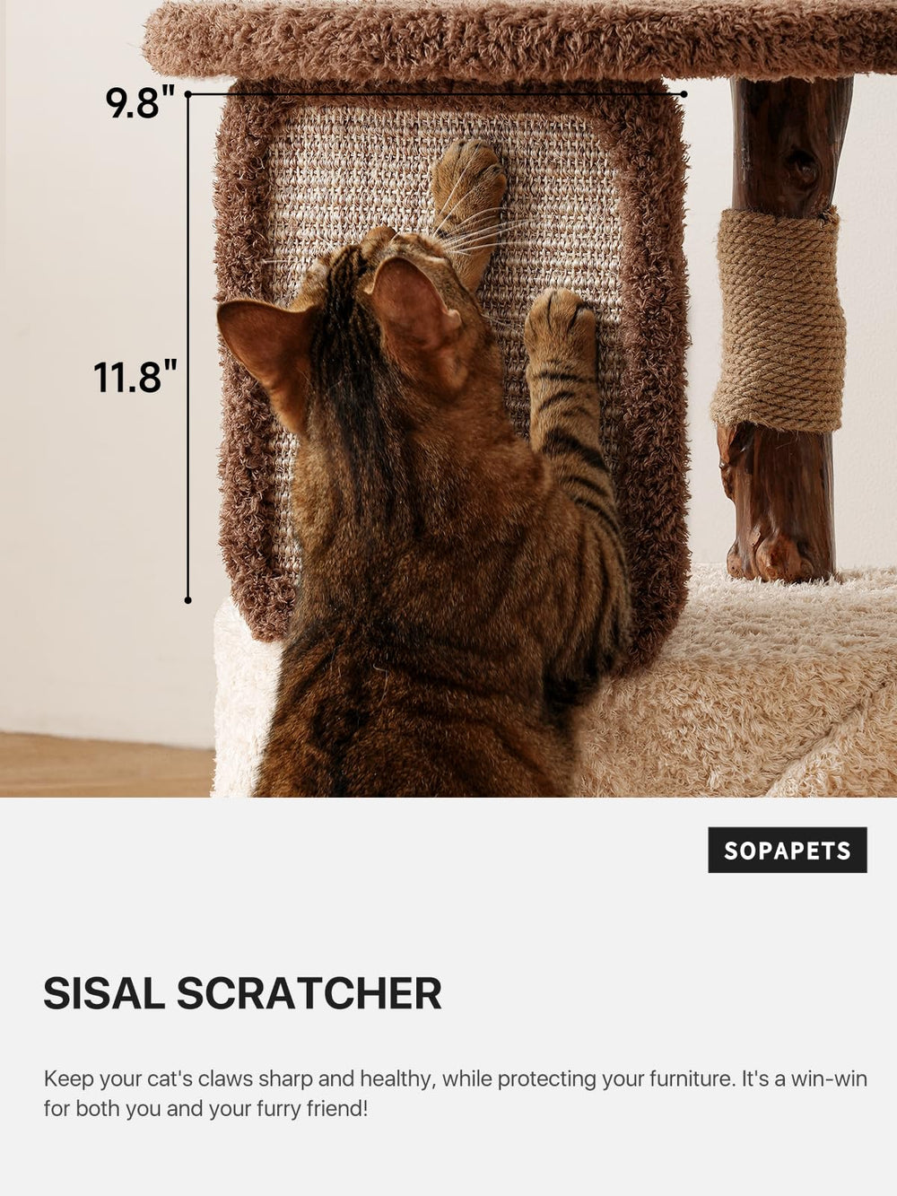Sopapets arbre en situation avec chat montrant fonctionnalité réelle